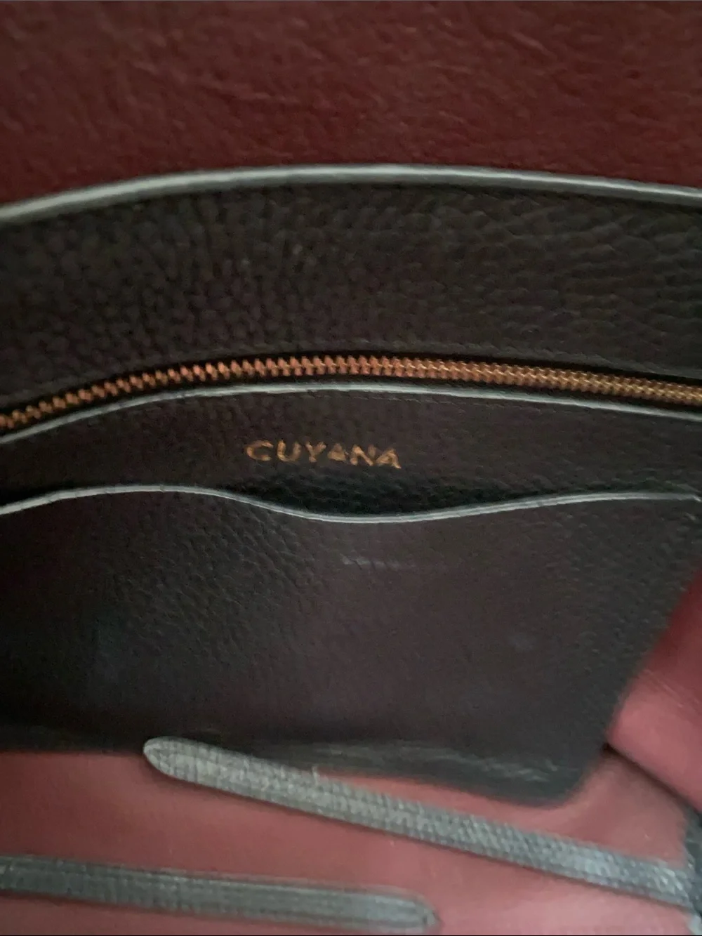 Cuyana Black Leather Tote Bag with Maroon Interior